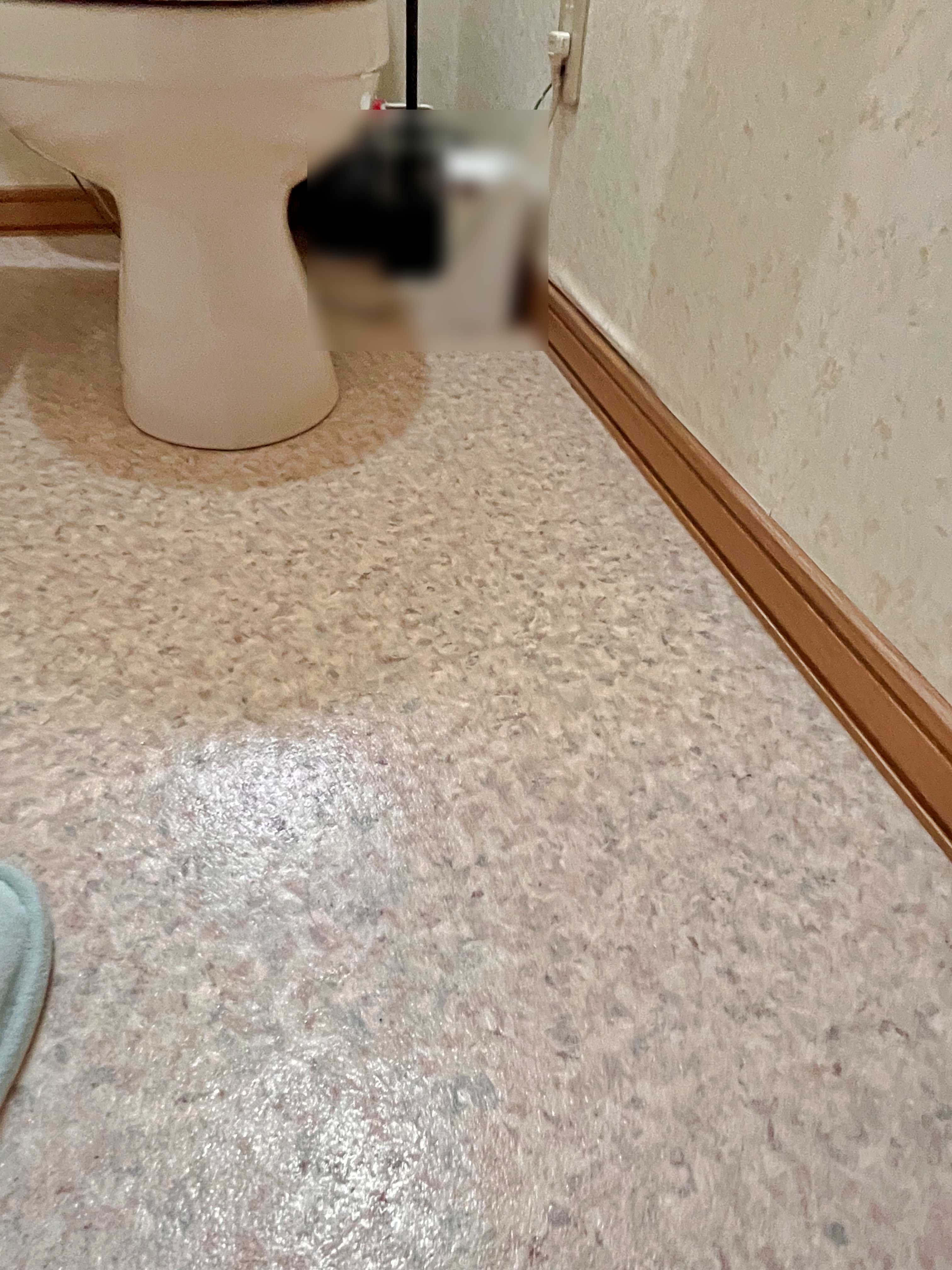 スタイリッシュなデザインのトイレに生まれ変わりました